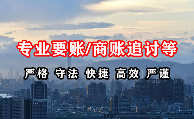 卧龙清账公司